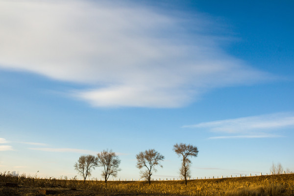 ��������Ŀ���