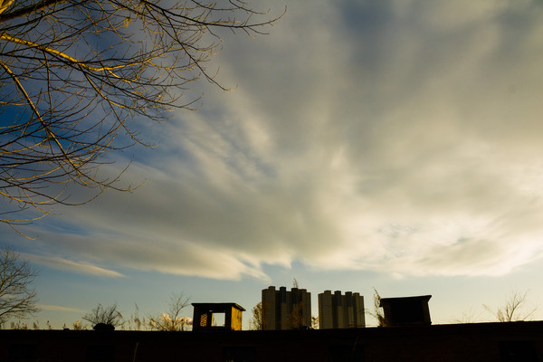 ��ľ֦Ѿ�Ʋ㽨��