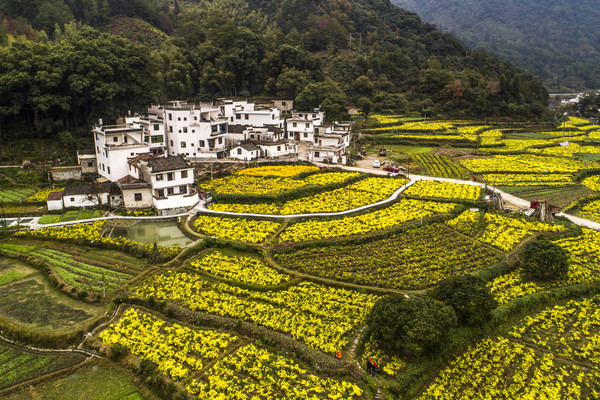 �����ֲ�ƾջ�