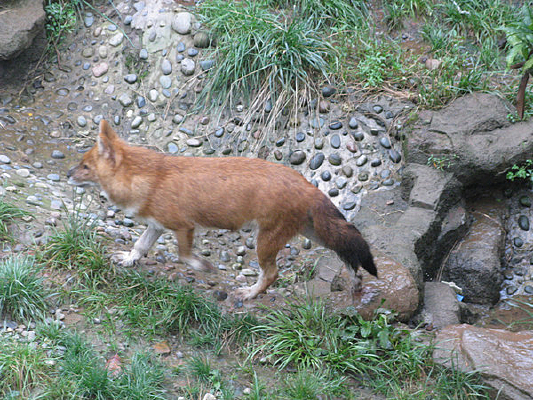 �����еĺ���