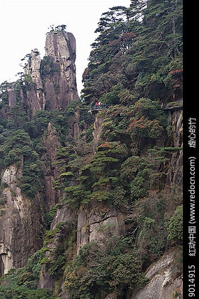 �����ͱ�