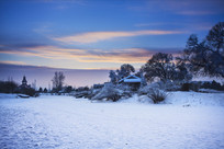 ѩ����ϼũ��ѩ����ľ