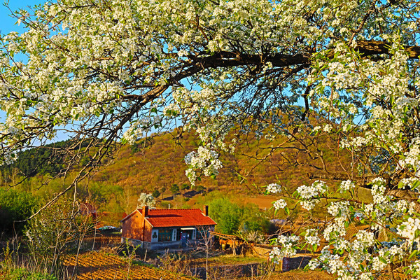 ŭ�ŵ��滨���ɫ��