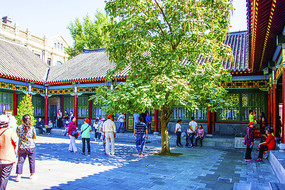 ��������˧����ѧ���ڷ�������