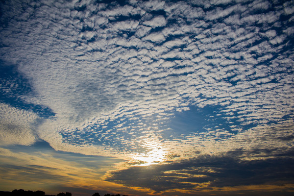 �����Ĳ�ϼ