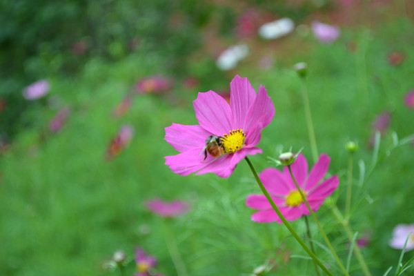 �۷��뻨��