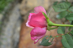 �����¼�����