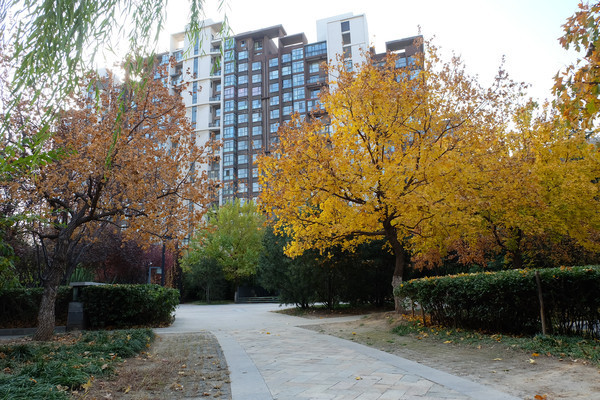 ������ľ��·