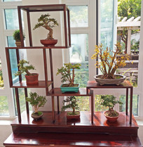 ľ�ʻ������ڰ���