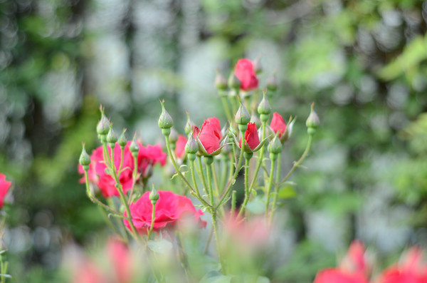 �����¼���