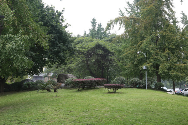 公园绿地