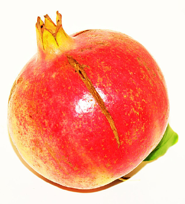 ��Ƥʯ��ͼƬ�ز�