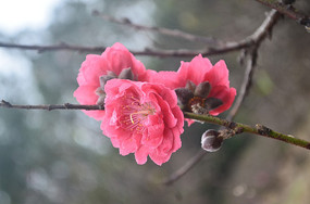 �һ�����ͼƬ