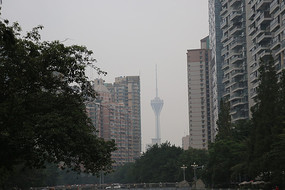 Զ��������