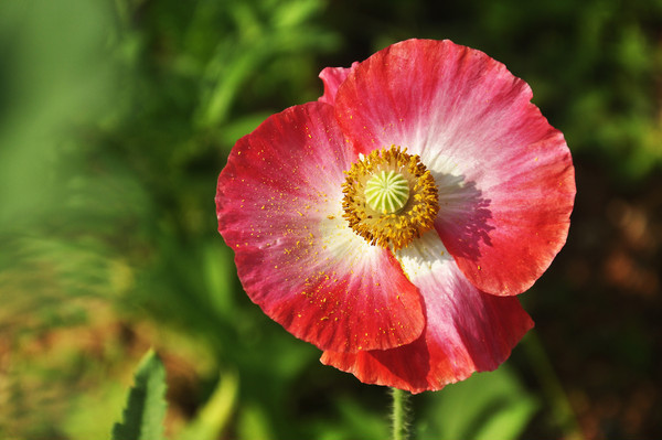 �����˵Ĵ���