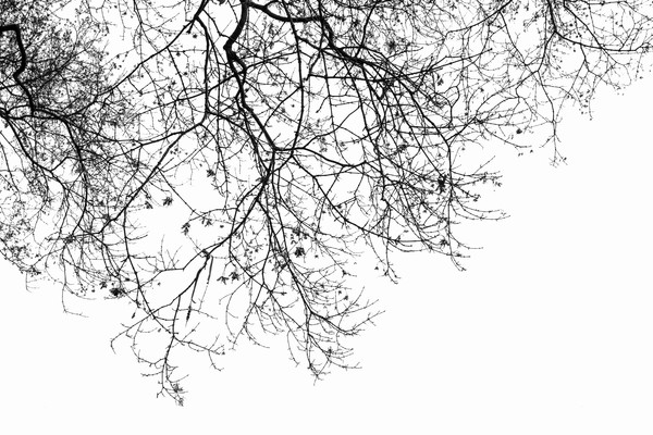 ������֦��Լ���ͼƬ