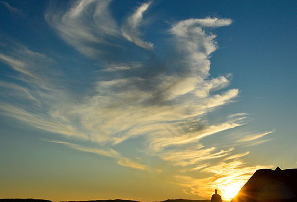 �ƻ����ղ�ϼ