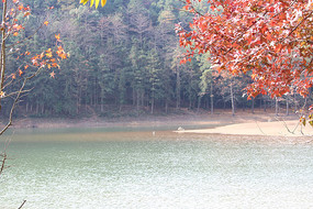 ����ˮ��