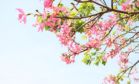 �ļ�����