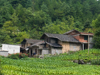 ���������߷�