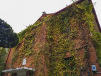 �Ϻ�ʦ��ש¥