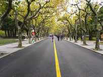 У԰���վ�ɫ