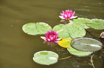 �ɻ����������Ⱦͼ