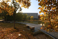 ��Ҷ�µĽ�ѧ¥