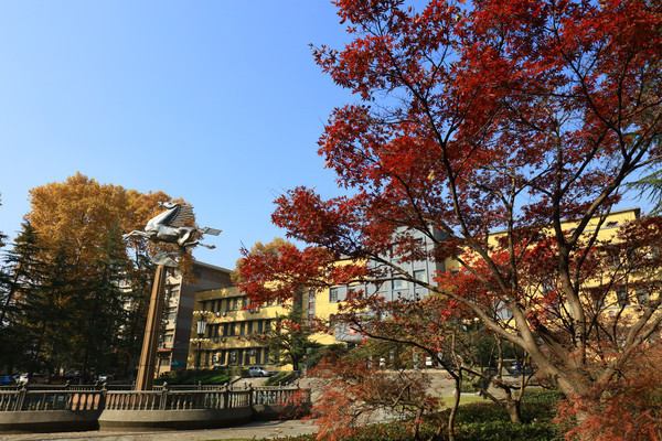 �人������ѧ�����㳡