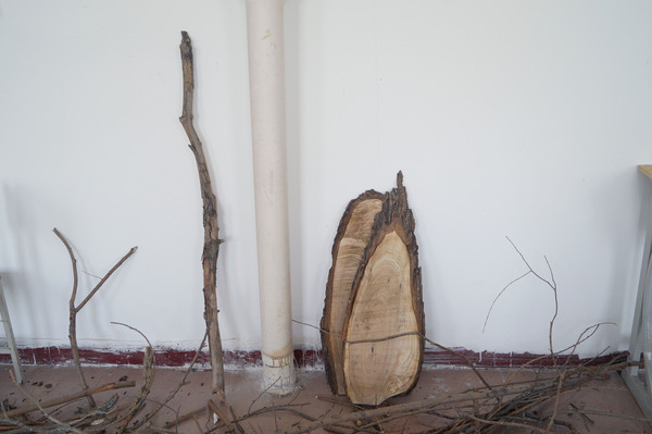 ľ��-�������� 