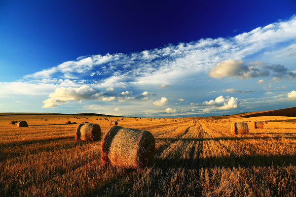 ũ��������� 