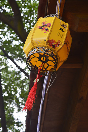 �й����ɫ����