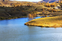 ���ɹŸ����＾���