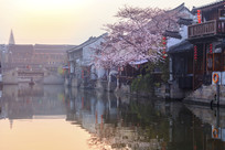 ������������ճ�С����ˮ