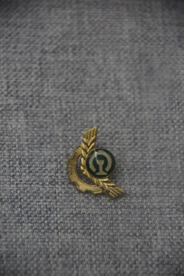 ��·Ա�����