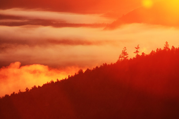 �ֺ��ƺ�����