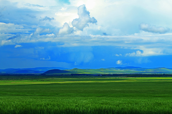 ��ɫ������