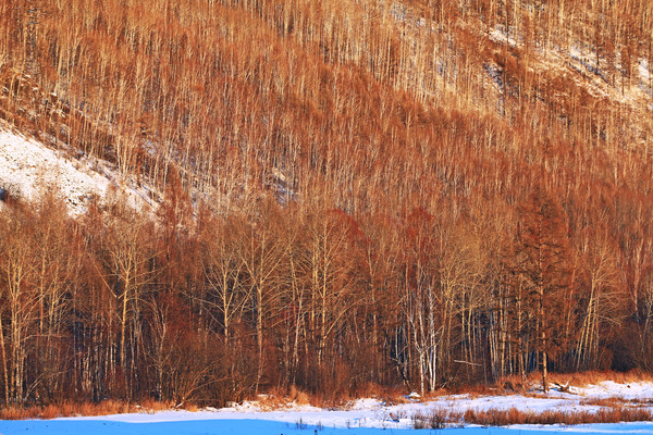 ����ѩ�� 