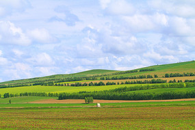 ũ�������