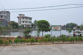 ũ彨