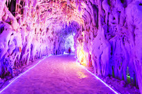 ��ѩ����