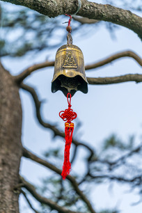 �������ϵ���