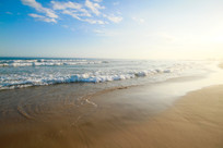 ��̲��Ư�����˻�