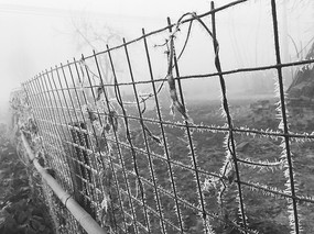 ˪���µĲ�԰Χ��