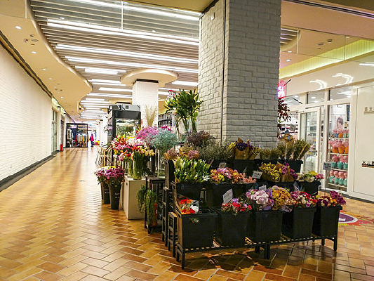 �����ʻ���