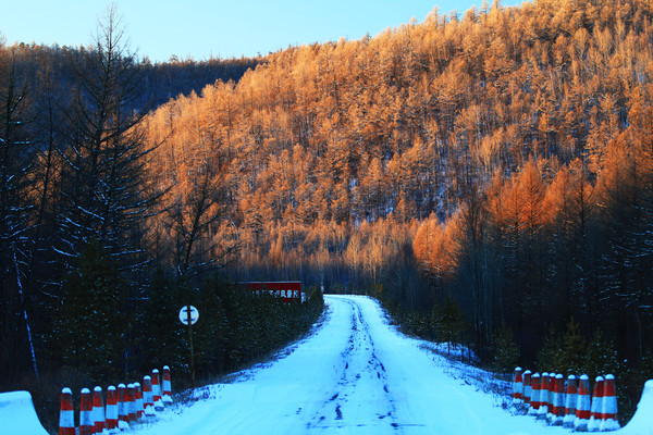 ��ѩɽ·����