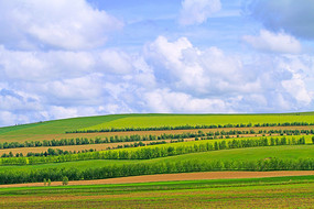 ���ױ���ũ�������