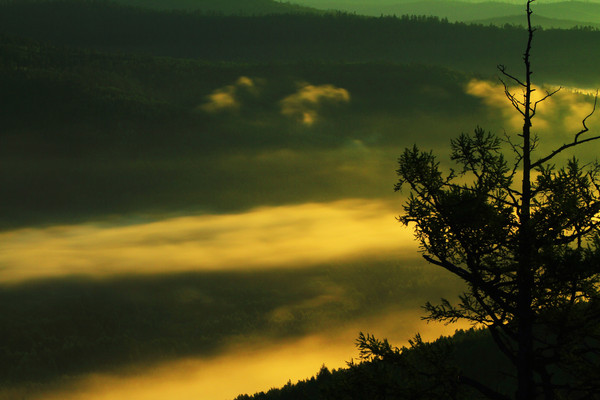 ɽ���ƺ�����