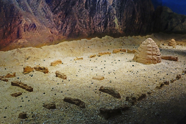 ��������΢��ģ�� 