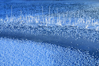 ���Ӳ�Ҷ˪��